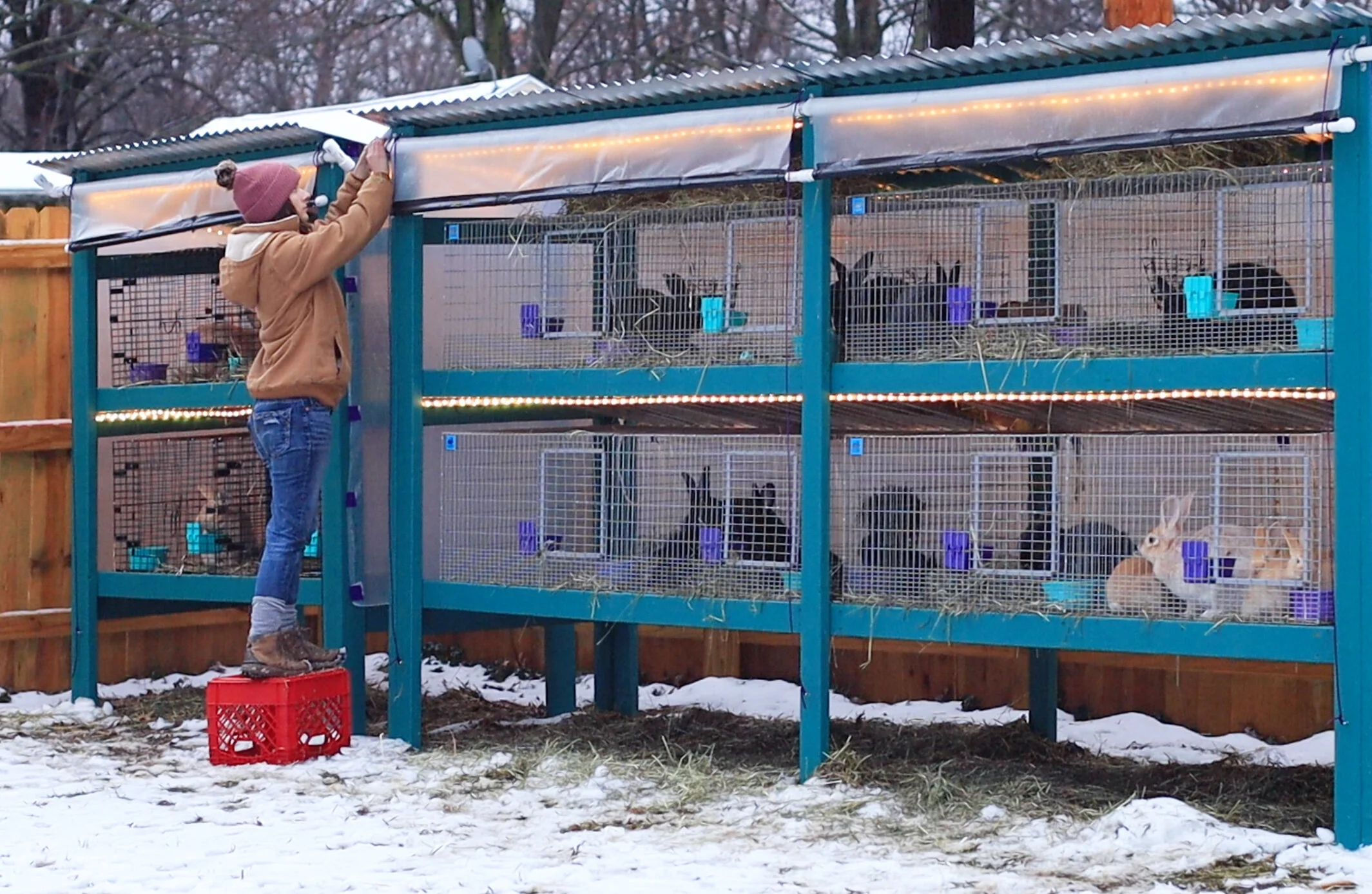 Outdoor rabbit homes online